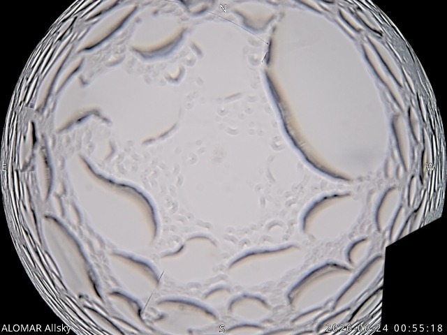 Web Camera is located in Uppsala, Sweden.