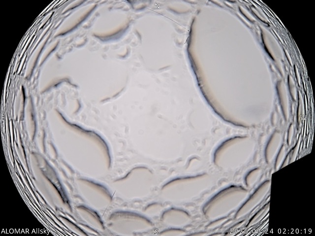 Web Camera is located in Uppsala, Sweden.